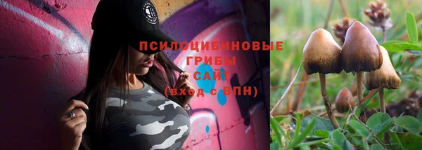 ALPHA PVP Армянск