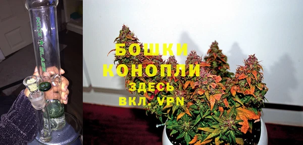 кокс Арсеньев