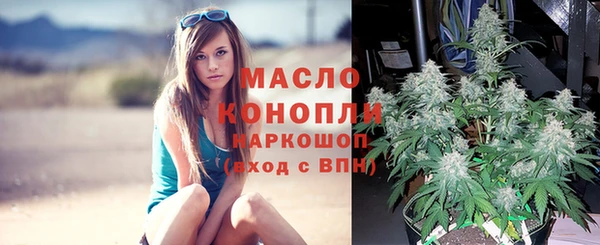 кокс Арсеньев