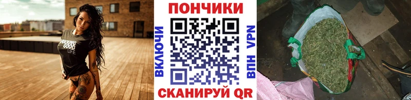 Купить закладки  Солнечногорск  Марихуана AK-47 